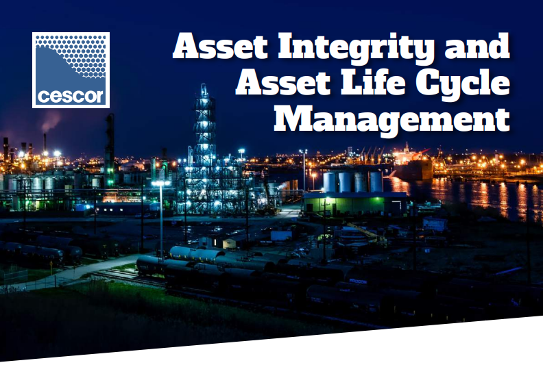 Asset Integrity Cescor Srl Flyer